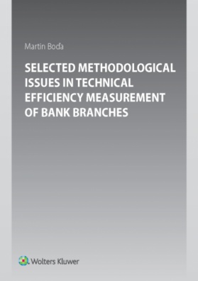 Selected Methodological Issues in Technical Efficiency Measurement of Bank Branches