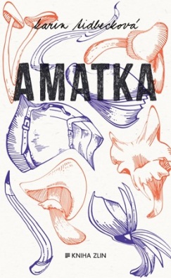 Amatka