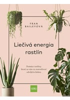 Liečivá energia rastlín: Domáce rastliny, ktoré sa vám za starostlivosť odvď