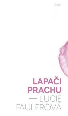 Lapači prachu