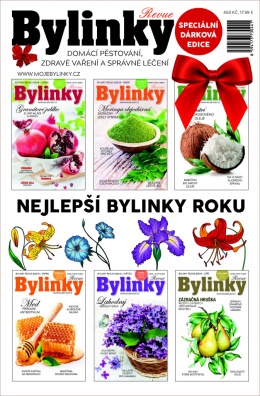 Nejlepší bylinky roku. Domácí pěstování, zdravé a správné léčení