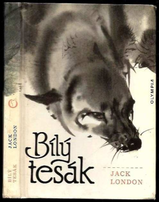 Bílý tesák