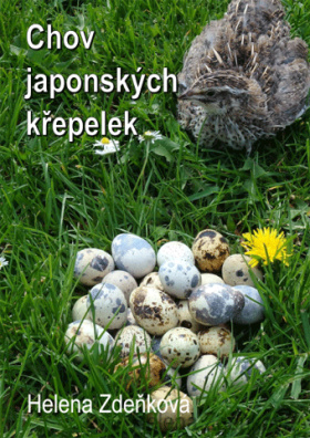 Chov japonských křepelek