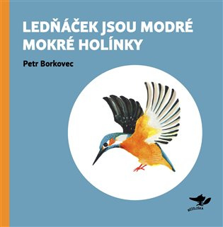 Lednáček jsou modré mokré holínky 